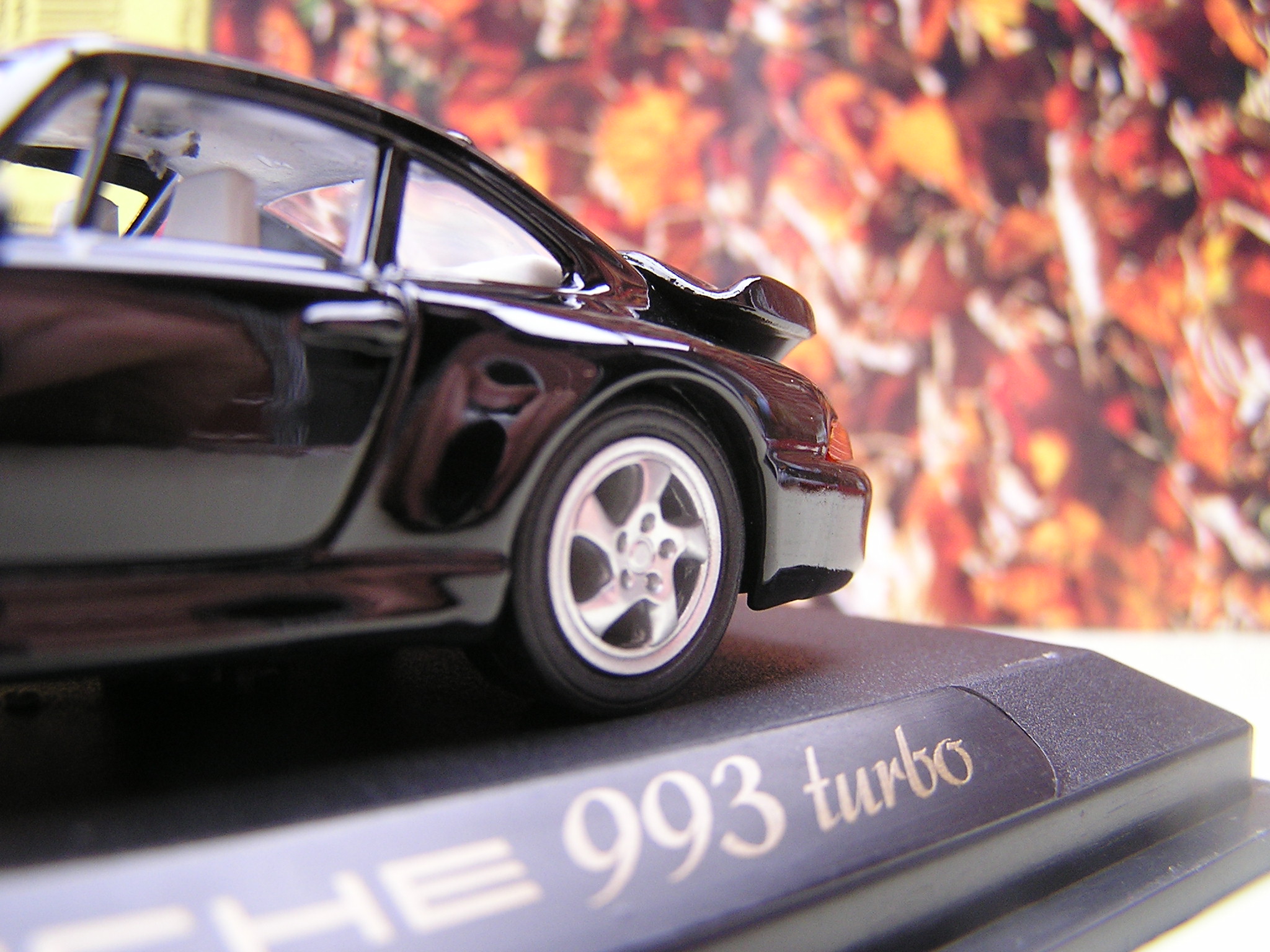 P1010026.JPG